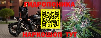 марихуана Камышлов