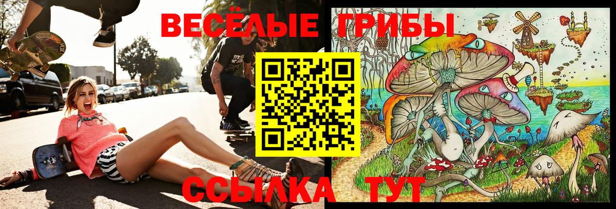 Галлюциногенные грибы Psilocybe  Вход с VPN  Луховицы 