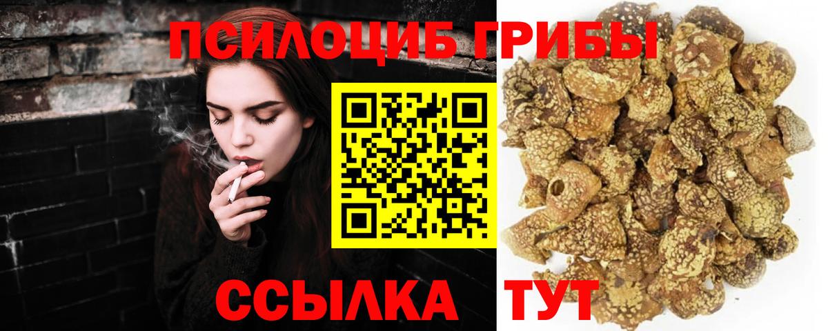 Галлюциногенные грибы мухоморы Луховицы